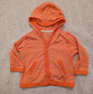 Baby Gap Toddler Hoodie